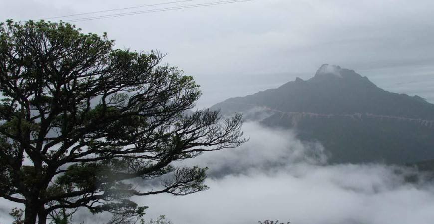  Горы Фен хуан шань окутаны густым туманом