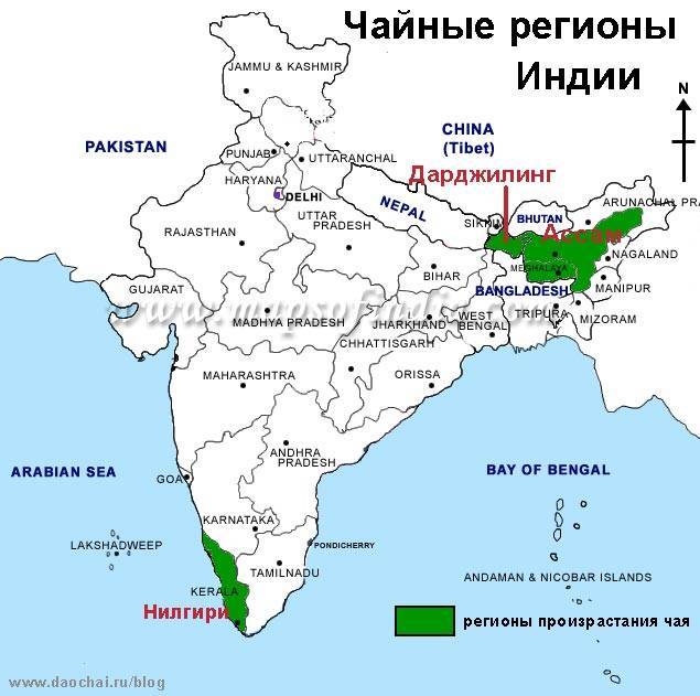 Чайные регионы Индии
