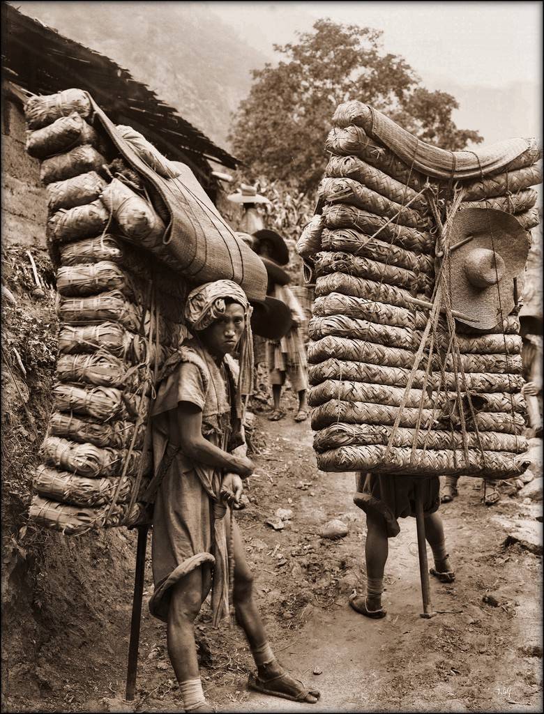 1908 год. Носильщики чая на пути в провинцию Сычуань. Фото  Enrest H. Wilson