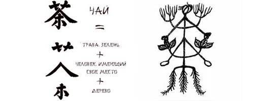 Иероглиф “Ча” , состоит из трех слов:艹 (трава), 人 (человек), 木 (дерево). Он олицетворяет единение природы и человека.