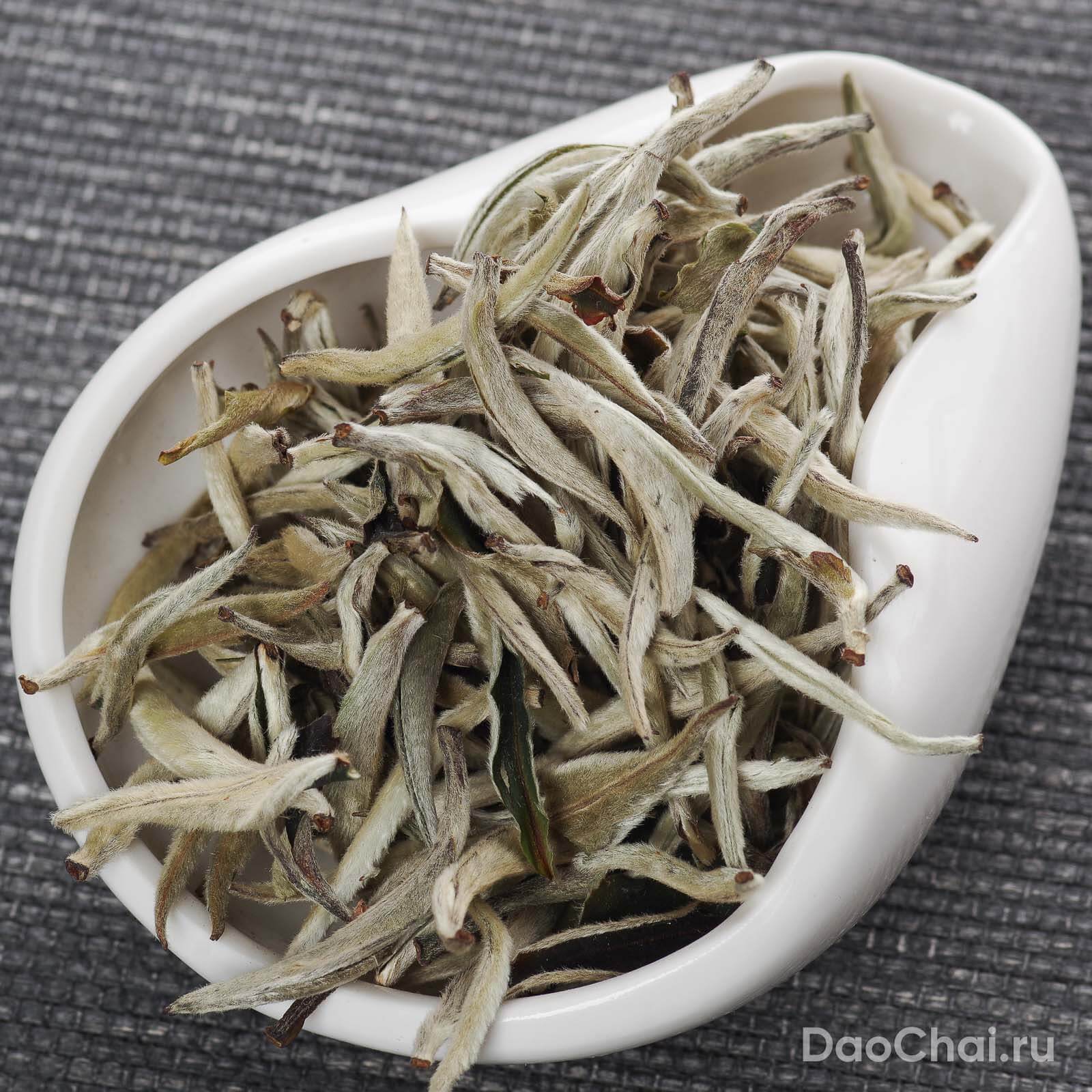 Юэ Гуан Бай Да Я "Белый лунный свет", 2025-