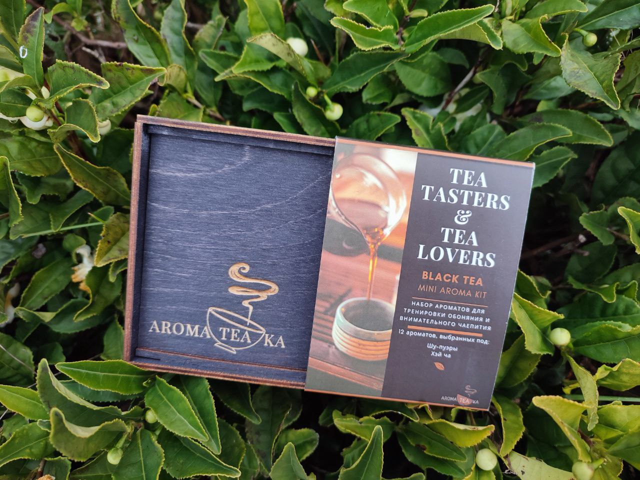 Аромакит "Шу пуэр", 12 натуральных ароматов, Aroma.Tea.Ka (103013)-