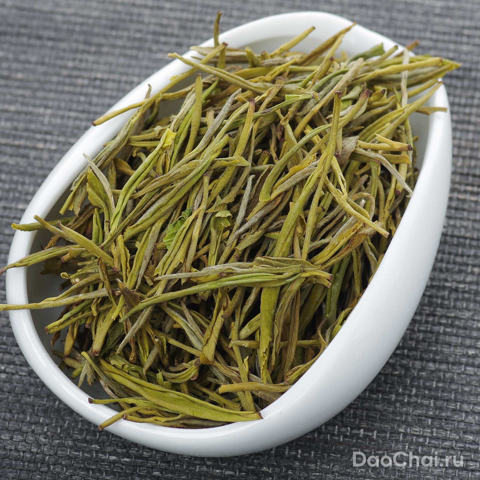 Аньцзи Хуан Цзинь Я "Желтая золотая почка из Аньцзи", 2025 март-