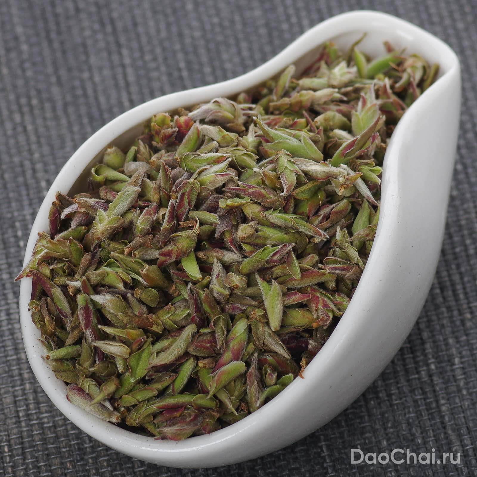 Е Шен Цзы Я Бао "Пурпурная почка", 2026-