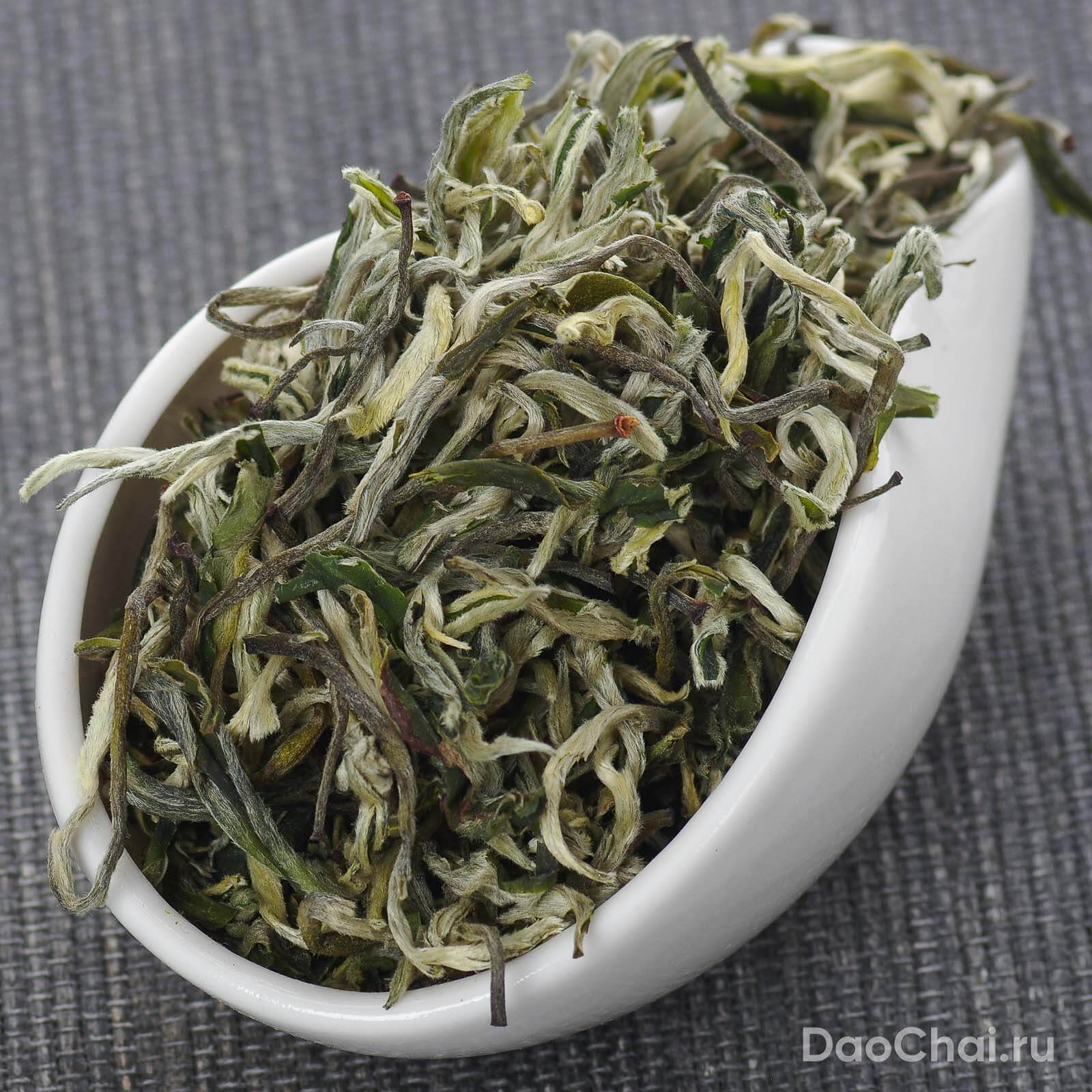 Цуй Мин №10 "Изумрудный чай", 2026-