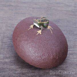 Фигурка "Лягушка на гальке", глина (61013)-