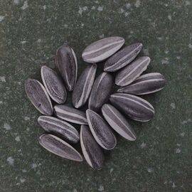 Фигурка "Подсолнуховое семечко", керамика (61132)-