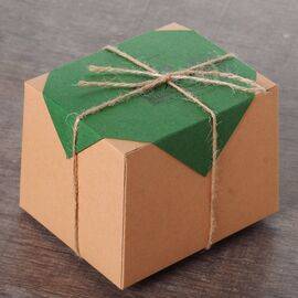 Подарочная упаковка для чая, зеленая (87279)-