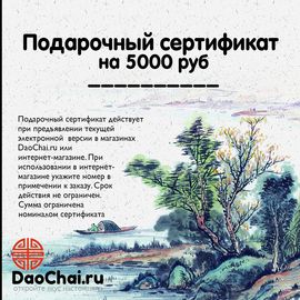 Подарочный сертификат на 5000руб (цифровая версия)-