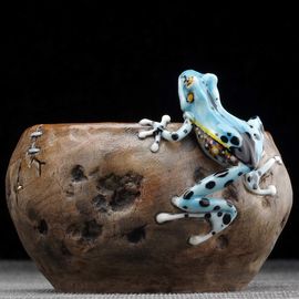 Пиала 155мл "Лягушка", мастер Цзэн Пэнчэн (54653)-