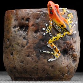 Пиала 140мл "Лягушка", мастер Цзэн Пэнчэн (54664)-