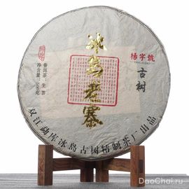 Шен Биндао Лао Чжай, 2021-