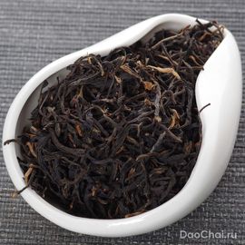 Байлинь Гунфу от мастера Чэна, 2025-