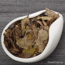 Дунпянь Лао Бай Ча "Зимний лист", 2016-