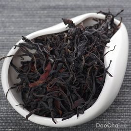 Гу Шу Као Хун, 2025-