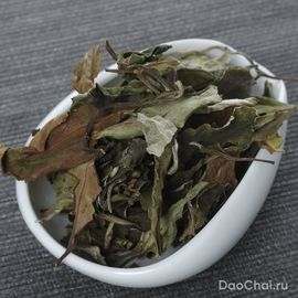 Сюэ Я Бай Ча "Снежная почка", 2025-