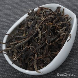 Шен Цзингу Цзютайпо, 2025-