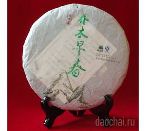 Цао Му Цао Чун «Деревья начала весны», 2013-