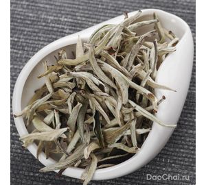 Юэ Гуан Бай Да Я "Белый лунный свет", 2025-