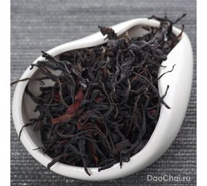 Гу Шу Као Хун, 2025-