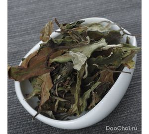 Сюэ Я Бай Ча "Снежная почка", 2025