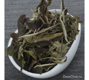 Ю Цзи Байча "Органический белый", 2025