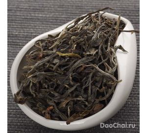 Шен Мэйцзыцин "Шен из каньона сливы", 2025-