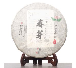 Чунь Я "Весенняя почка", 2019-