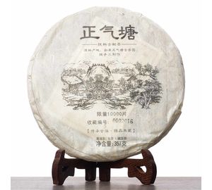 Шен из деревни Чжэнцитан, 2020-