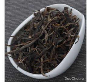 Шен Цзингу Цзютайпо, 2025-