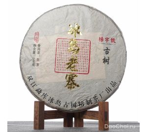 Шен Биндао Лао Чжай, 2021-