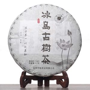 Биндао Гу Шу, 2018-