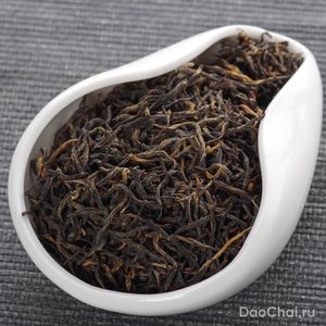 Нинхун Хунча, 2025-