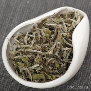 Лао Бай Му Дань, 2021-