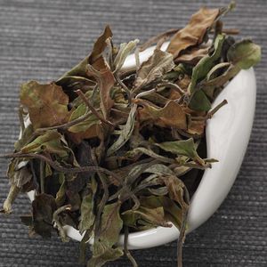 Сяохусай Бай Ча, 2023-