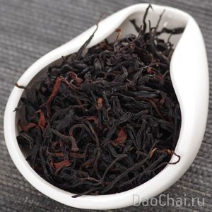 Гу Шу Е Шен Шайгань Хунча "Дикий шайхун со старых деревьев", 2025-