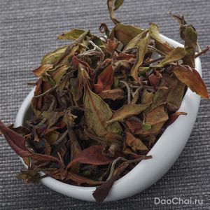 Е Шен Чжицзы Байча "Белый с ароматом гардении", 2025-