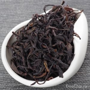 Лаоцун Цюньти Сянь Дань Цун, 2025-