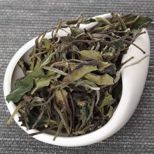 Гаосянь Бай Ча из Фэнцин, 2025-