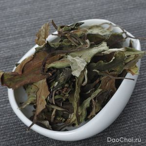 Сюэ Я Бай Ча "Снежная почка", 2025-