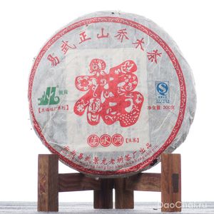 Шен Иу Лошуйдун, Цзинлун, 2010-