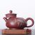 Чайник 110мл  Дуо Чжи (76039)-фотография 2 Чайник 110мл  Дуо Чжи (76039)-фотография 2