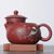 Чайник 230мл "Сиши"  (76158)-фотография 3