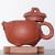 Чайник 240мл Гунчунь Сиши «Лотос» (76308)-фотография 3