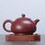 Чайник 140мл, Дуо Чжи (79047)-фотография 4