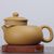 Чайник 200мл Бянь Сиши (79055)-фотография 3