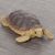 Фигурка "Черепаха", исинская глина (61519)-