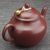 Чайник 100мл "Гортензия", исинская глина, мастер Цай Ифэн (790093)-фотография 5