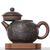 Чайник 285мл "Пейзаж", Сюй Вэйцзин, нисинтао (781089)-фотография 2
